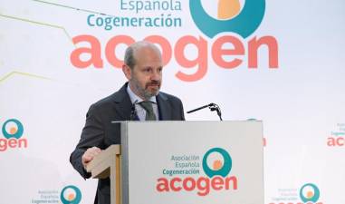 José Ignacio Castillo, presidente de Acogen.
