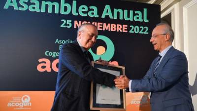 El presidente del grupo Pamesa, Fernando Roig, recibe el premio Cogenerador del Año en Madrid.