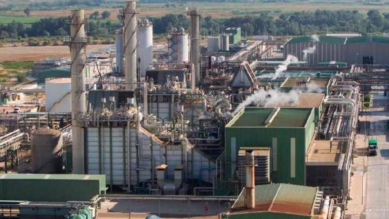 Los cogeneradores españoles prevén inversiones en 82 industrias por 1.300 millones