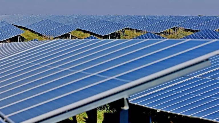 Adiós a la macroplanta solar de la Plana Baixa: la promotora de Arada Solar renuncia al proyecto