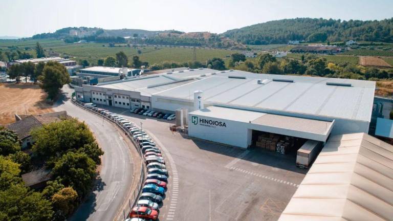 ¿Cuánto facturó Hinojosa Packaging Group en el 2024?