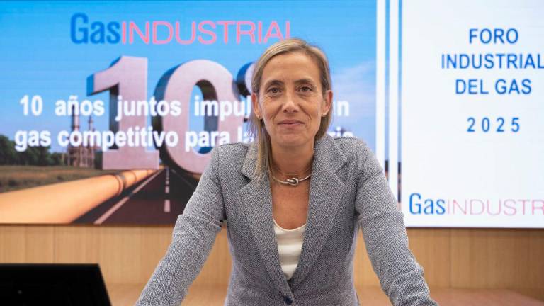 Opinión | «2025: un año de diagnósticos claros y decisiones aún pendientes para la industria gasintensiva»