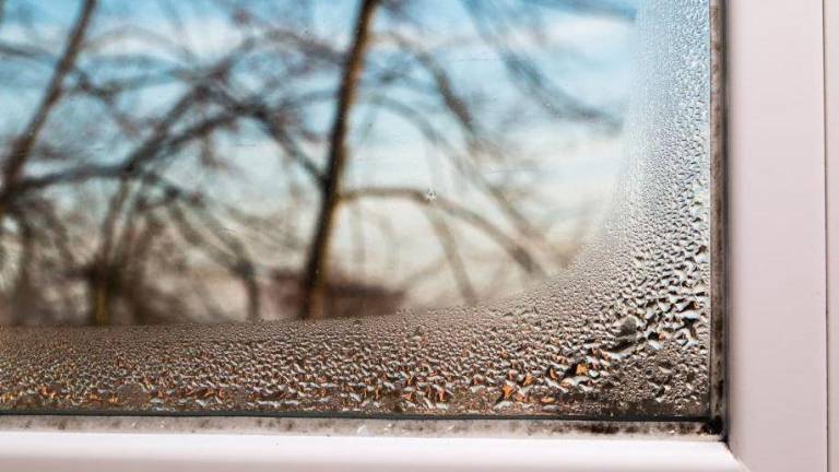 El frío y la lluvia elevan el riesgo de humedades en el hogar