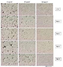 $!Figura 2: Microestructuras de microgranulados de polvo híbrido y de tecnología tradicional compactado a cargas crecientes.