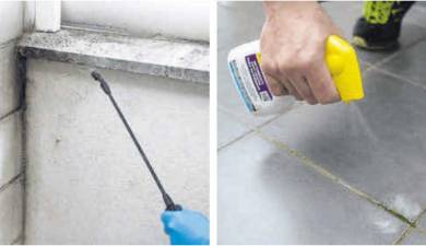 Algacid, de Fila Solutions, está disponible en pulverizador de 500 mililitros y en formato de 5 litros.