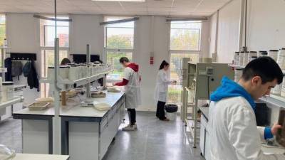 Los alumnos del proyecto del IES El Caminàs, en un análisis de laboratorio.