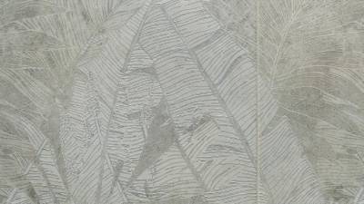 $!Vídeo | Descubra las nuevas colecciones cerámicas de Coloronda