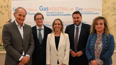 La industria gasintensiva española denuncia su desventaja con sus homólogos europeos