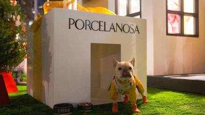 $!Casita regalo para mascotas, realizada con el compacto mineral Krion