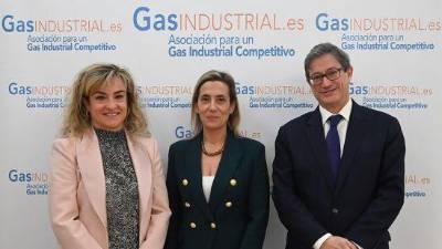 Verónica Rivière, presidenta de GasINDUSTRIAL, en el centro de la imagen.