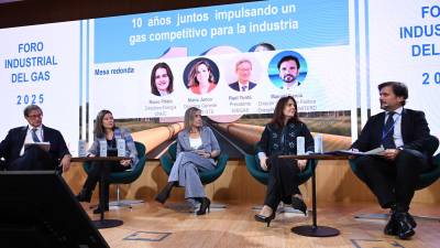 Imagen del encuentro celebrado en Madrid bajo el lema 10 años juntos impulsando un gas competitivo para la industria.