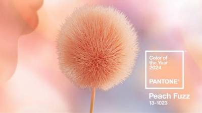 Así es el Peach Fuzz, el color del año 2024 según Pantone