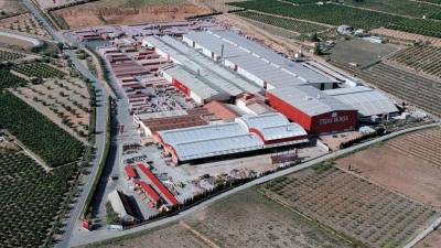 Tejas Borja.