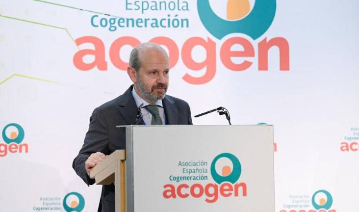 Cogeneración en España | Advierten de un «cogenicidio industrial»