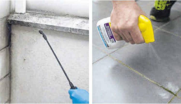 Fila Solutions, doble acción contra el verdín, el moho y las superficies ennegrecidas en exteriores