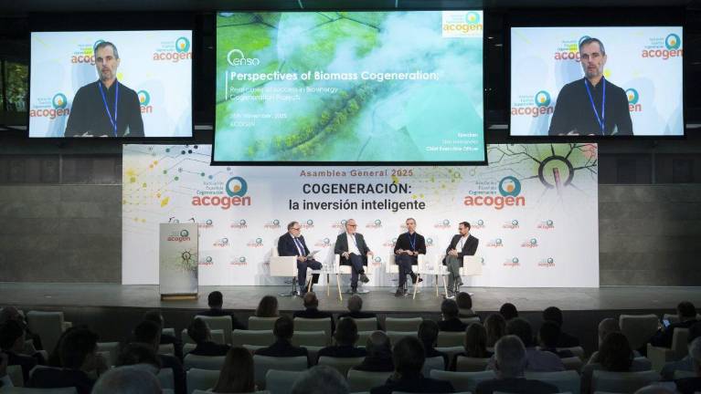 La cogeneración reunirá el 6 de octubre a industria y reguladores ante las subastas de 1.200 MW