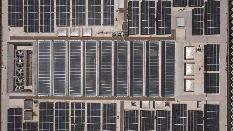 Eltex Solar despide a sus empleados y cierra definitivamente