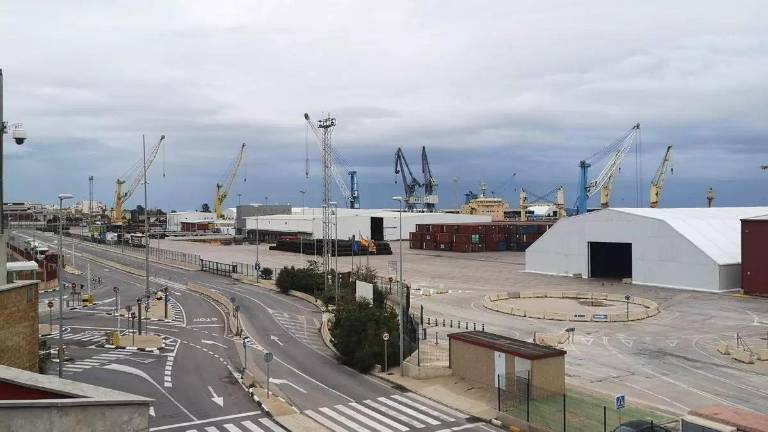 La nueva alianza de Boluda, Noatum y Algeposa en Sagunt
