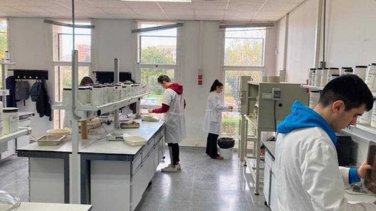 Estudian nuevas arcillas para la cerámica