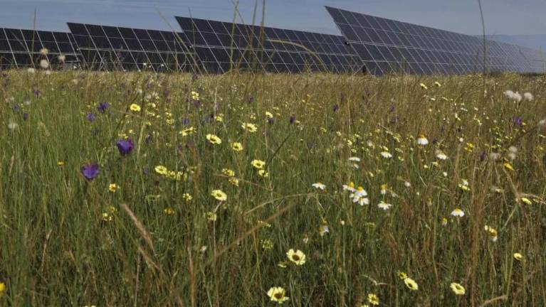 La megaplanta solar de la Plana Baixa avanza: solicita permiso de construcción