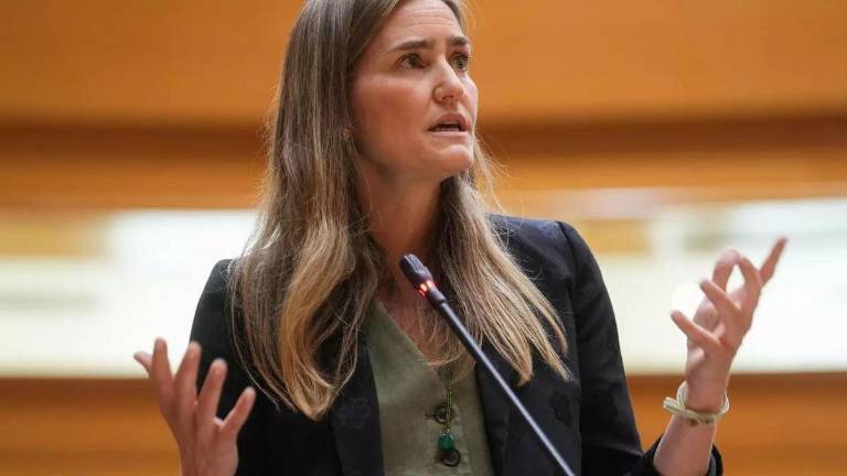 «Es nuestra sentencia de muerte» | La cogeneración se rebela contra el recorte del Gobierno