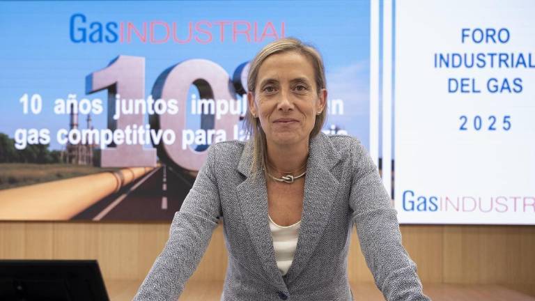 Opinión | «¿Descarbonización o desindustrialización?»