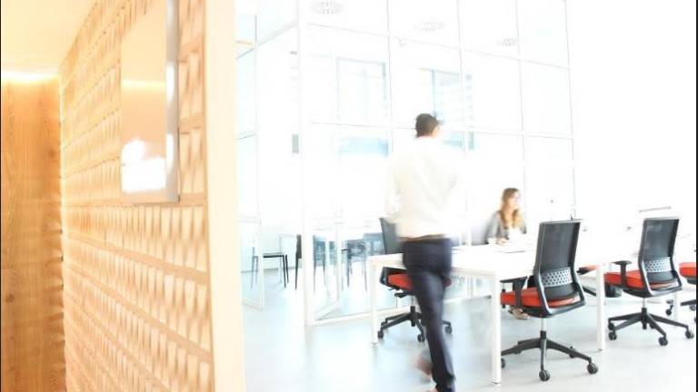 Grupo Ibricks llega a la cifra de 463 almacenes y 561 tiendas