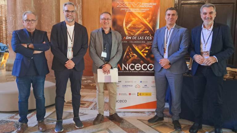 Aliangroup alcanza los 1.061 millones de euros de facturación agrupada