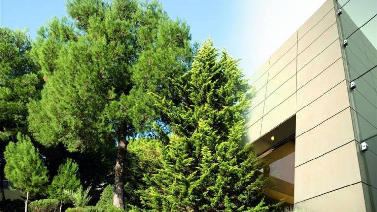 Ceracasa divulga en Madrid la cerámica descontaminante