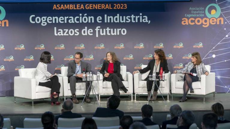 La cogeneración española aborda «con confianza» la «nueva etapa que está a punto de empezar»