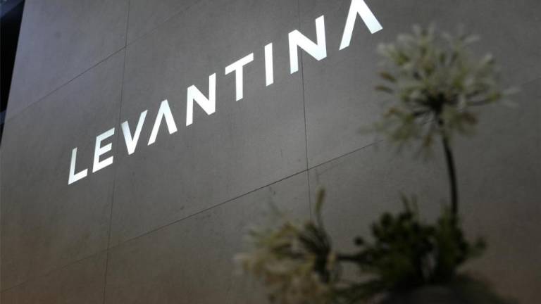 Levantina nombra nuevo CEO a Patrick Verschelde