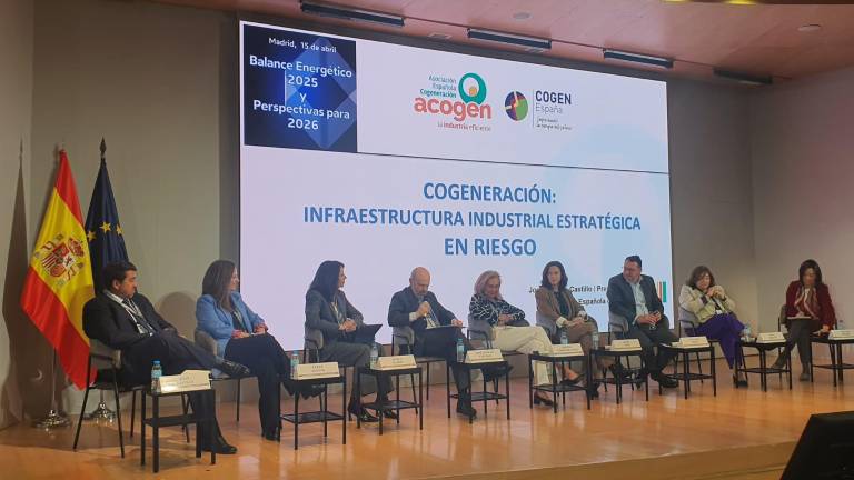 Cogeneración | Acogen advierte de que «la mitad de las plantas en España están hoy paradas»