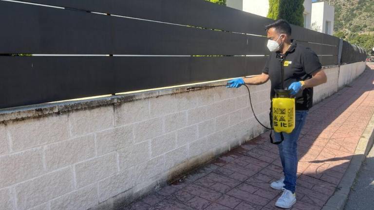 Cómo eliminar el verdín, el moho y los ennegrecidos de muros de hormigón a la sombra y evitar su reaparición