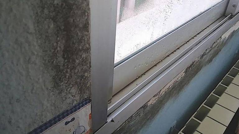 Cómo diagnosticar las humedades del hogar en solo un minuto