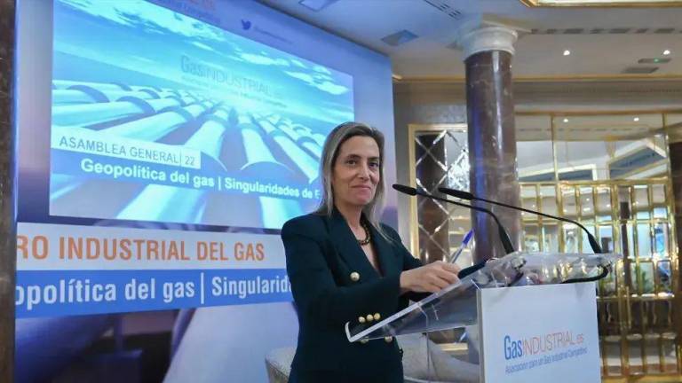 GasIndustrial advierte de deslocalizaciones y también reclama al Gobierno que actúe