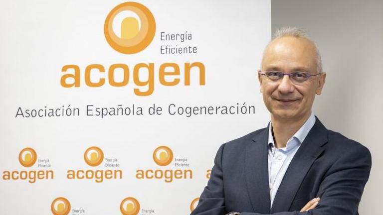 La incertidumbre regulatoria colapsa la cogeneración