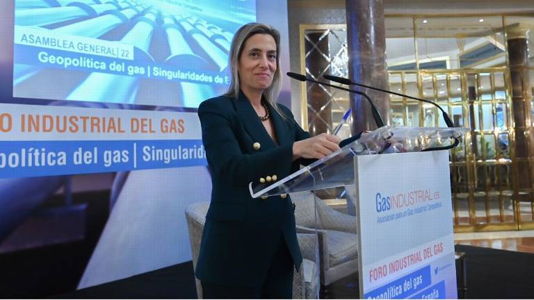 Opinión | Los precios del gas: un reto persistente para la industria española