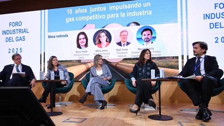 Imagen del encuentro celebrado en Madrid bajo el lema 10 años juntos impulsando un gas competitivo para la industria.