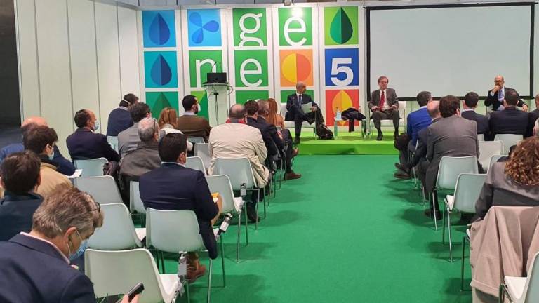 «Los cogeneradores por fin estamos a las puertas de un nuevo ciclo inversor»