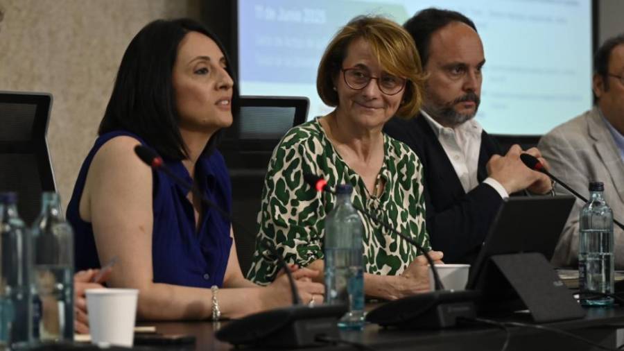 Galería de fotos | Jornada sobre industria y descarbonización en Castelló