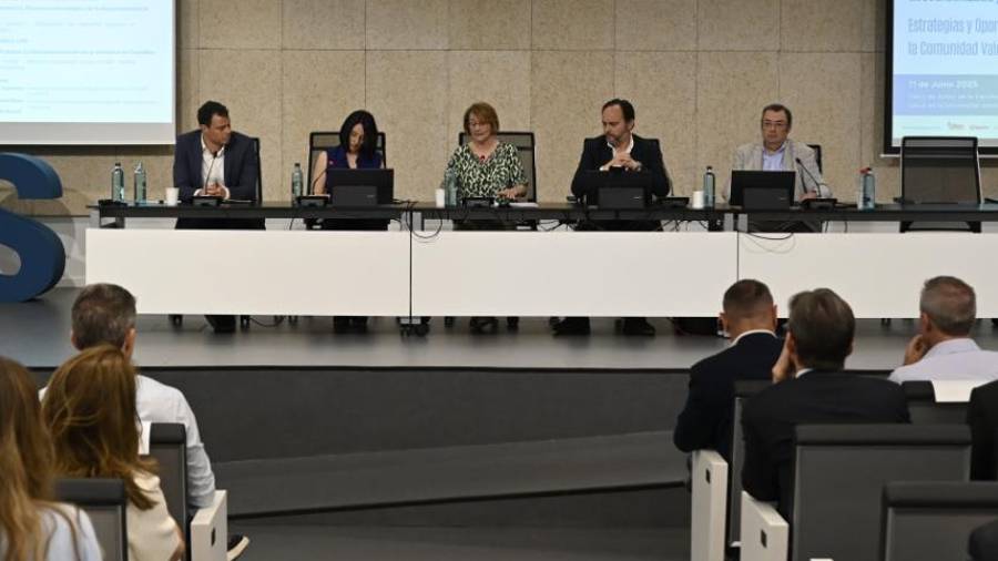 Galería de fotos | Jornada sobre industria y descarbonización en Castelló